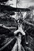 imagebam.com
