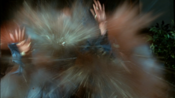 08e721187000183.jpg
